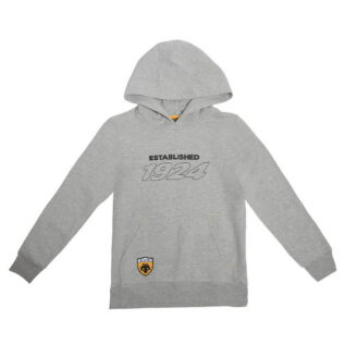ΑΕΚ Hoodie Kids Grey – Παιδικό